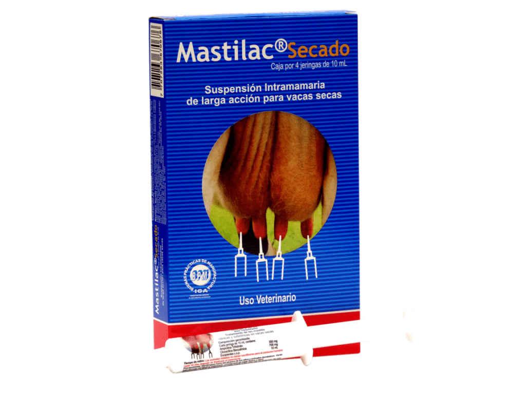 Mastilacï¿½ Secado