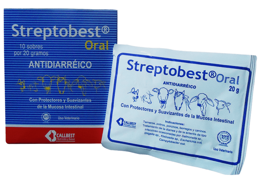 Streptobestï¿½ Oral