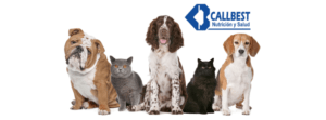 Productos Veterinarios