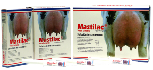 mastitis bovina